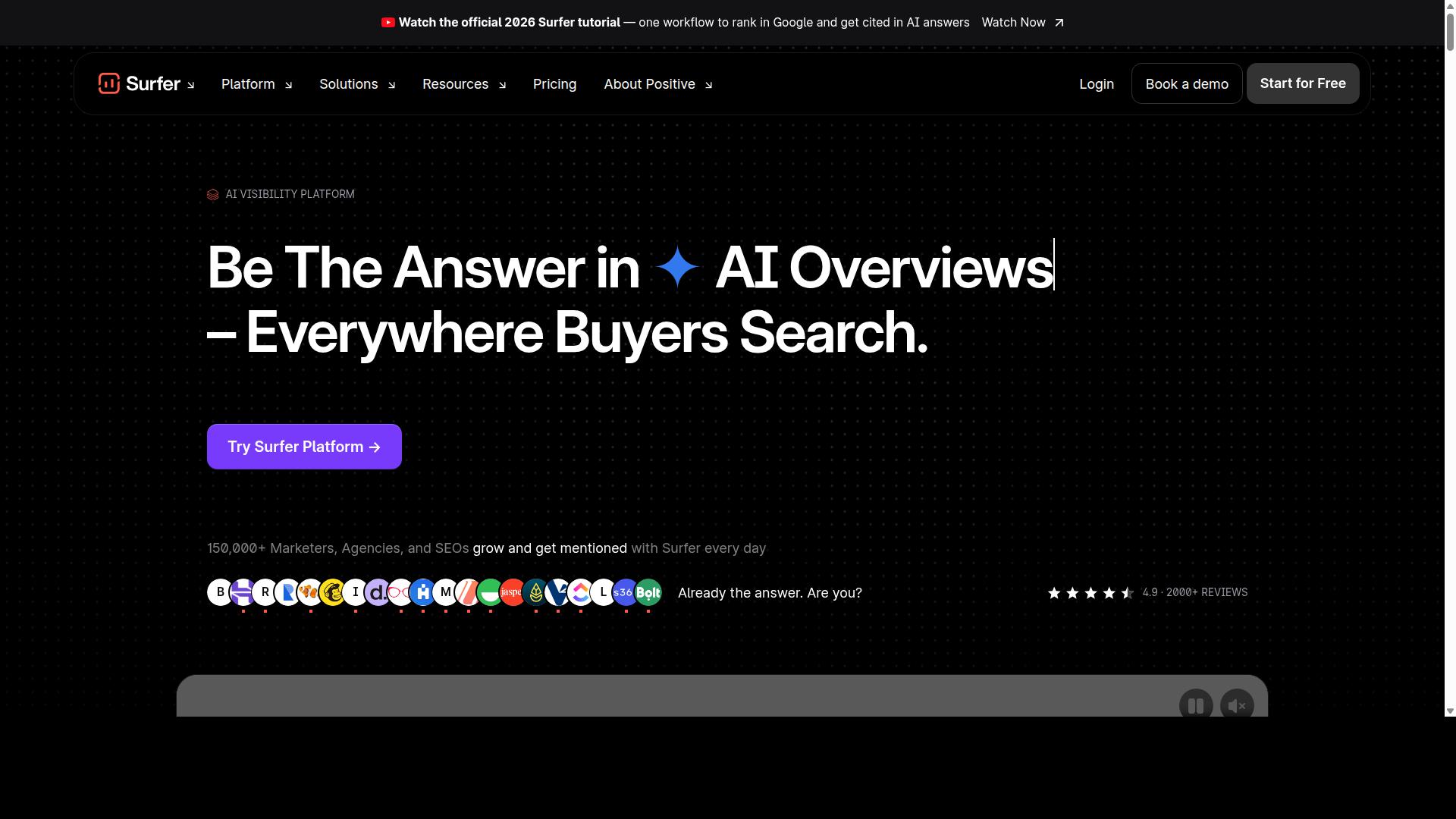Surfer SEO website